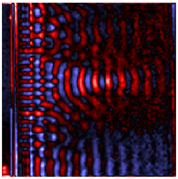 Polariton